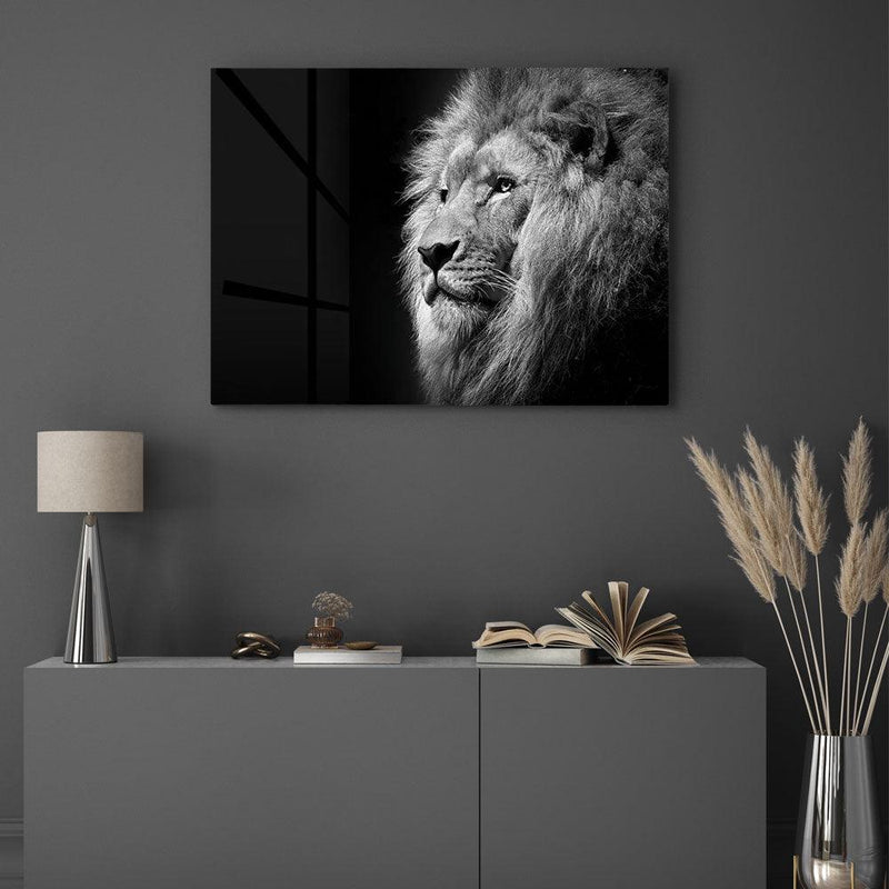Gazing Lion - Walljar