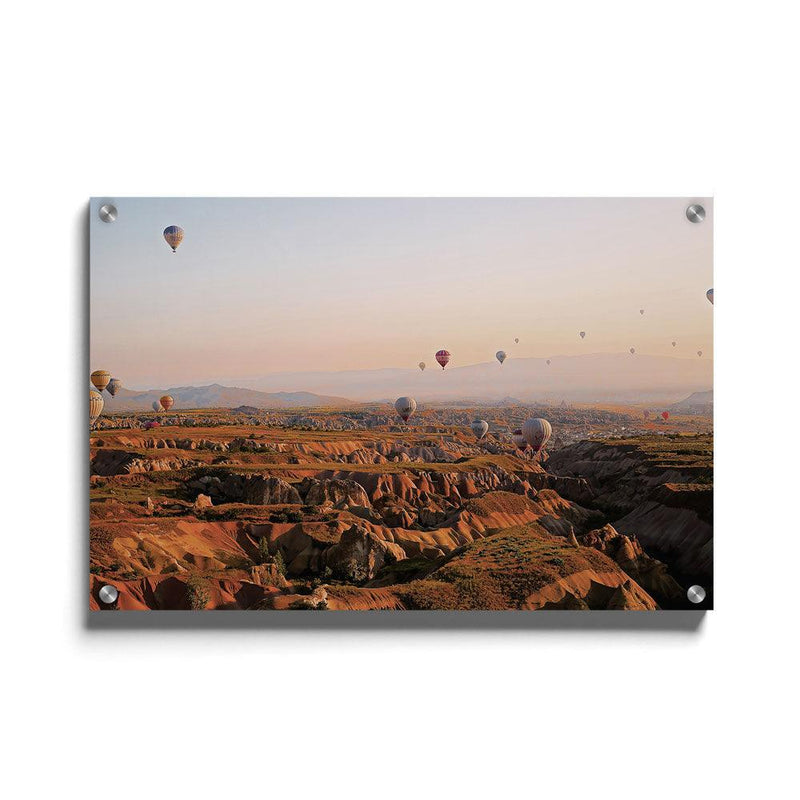Luchtballonnen landschap poster