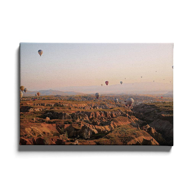 Luchtballonnen landschap poster