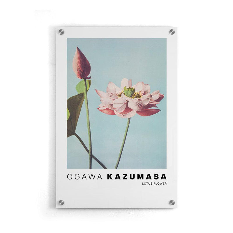 Ogawa Kazumasa - Lotus Flowers - Walljar