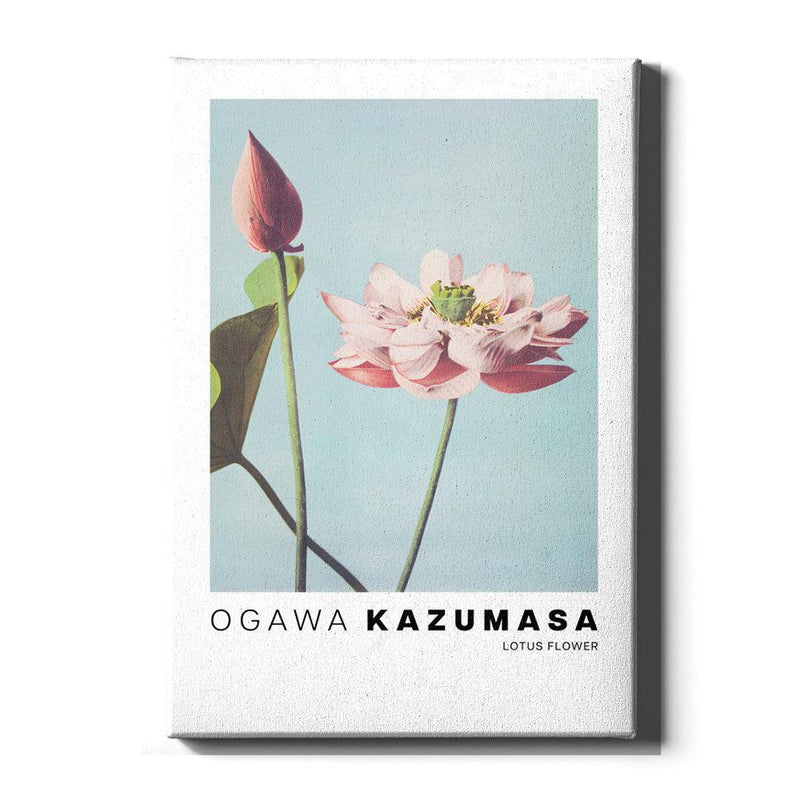 Ogawa Kazumasa - Lotus Flowers - Walljar