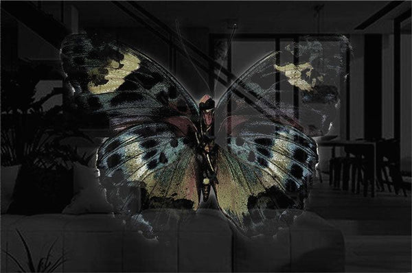Butterflying - Walljar