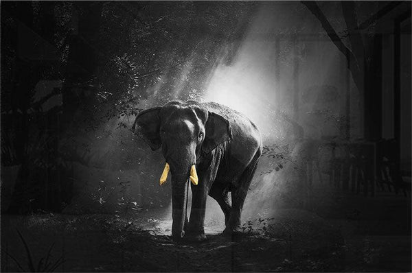 Golden Elephant - Walljar