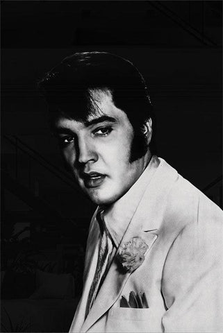 Elvis Portait - Walljar