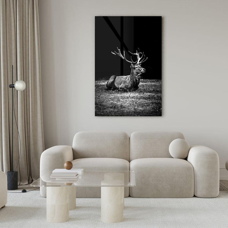 Sitting Deer - Walljar
