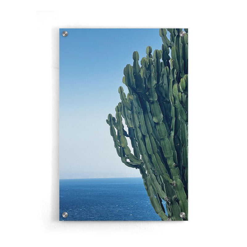 Cactus At Sea - Walljar