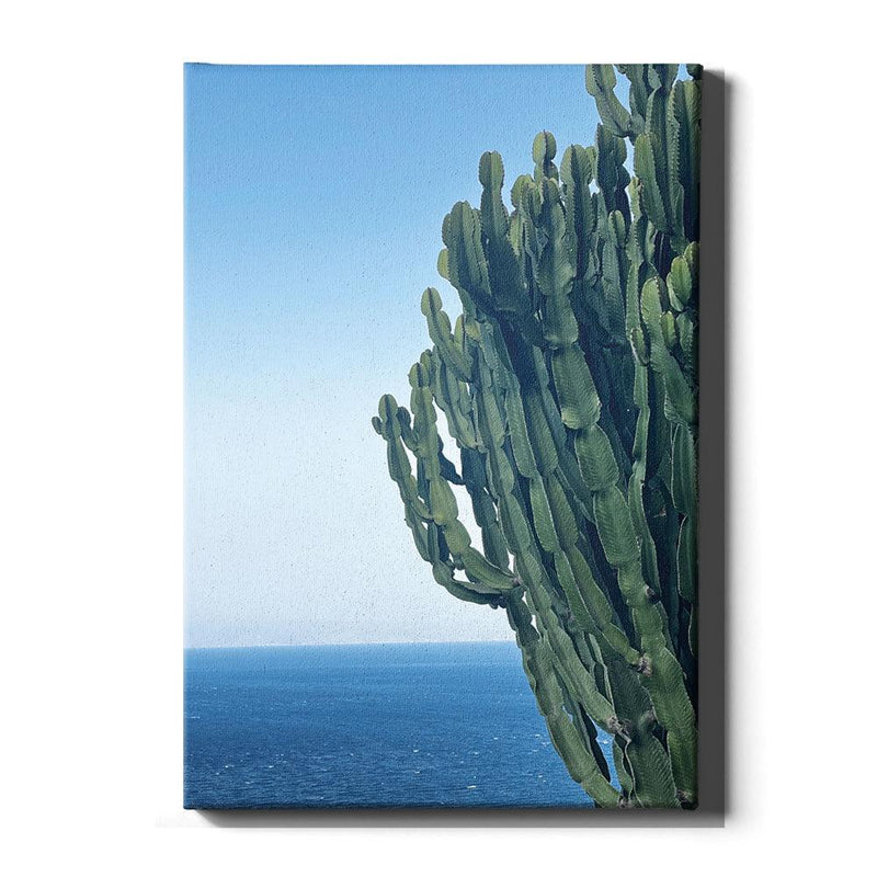 Cactus At Sea - Walljar