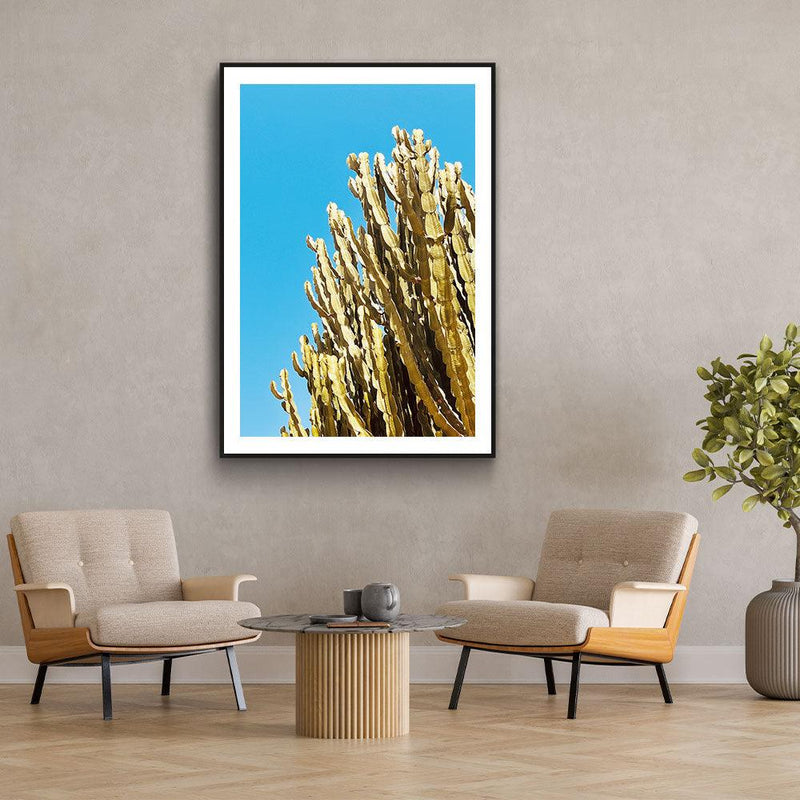 Cactus Contrast - Walljar