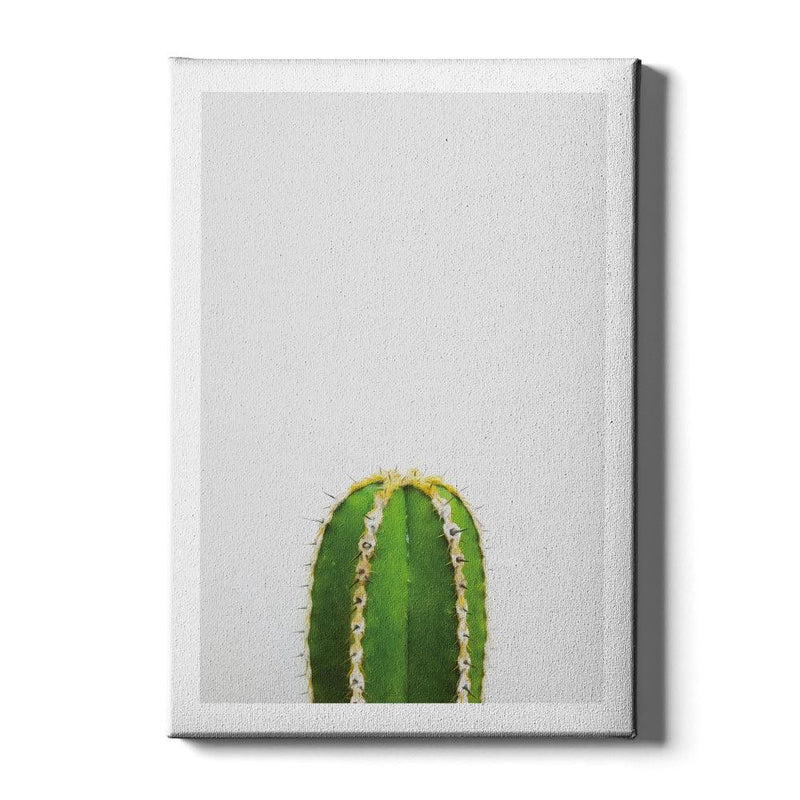 Cactus poster