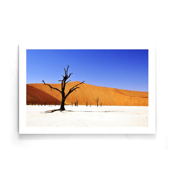 Woestijn vlakte poster