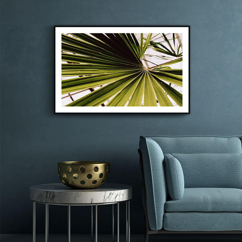 Palm poster