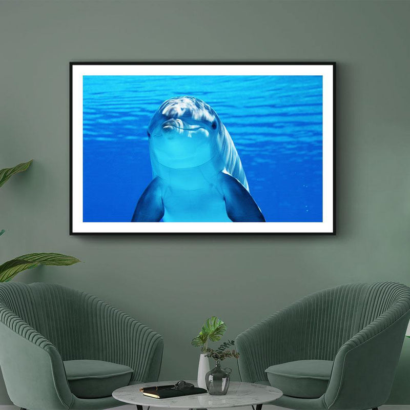 Dolfijn poster