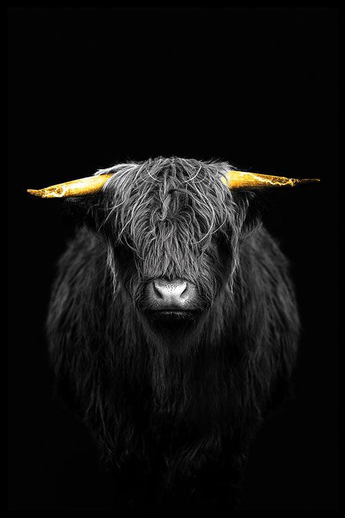 Gold Ox Horns II - Walljar