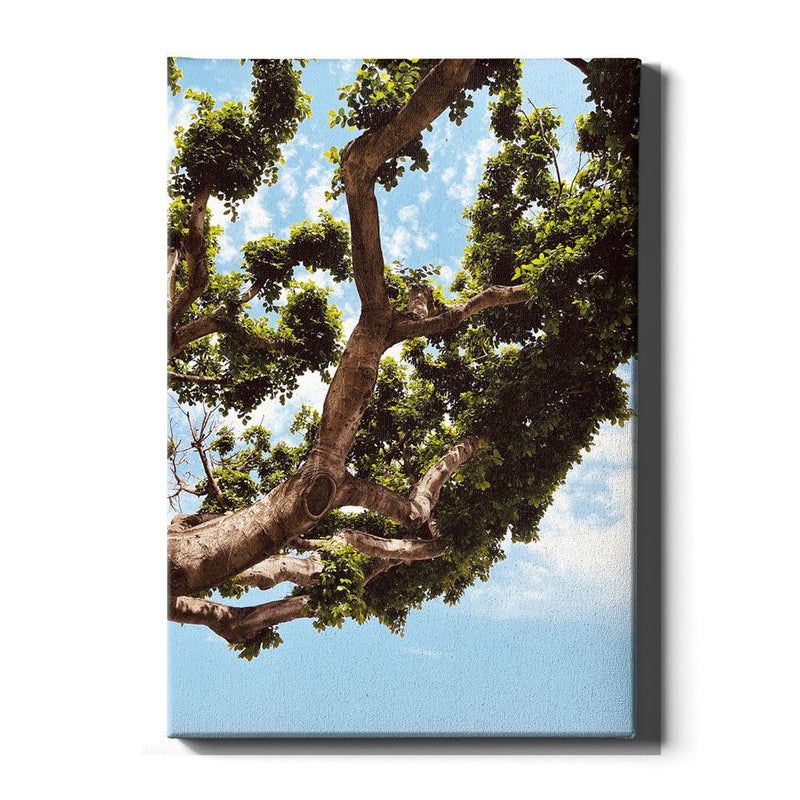 Growing Tree - Walljar