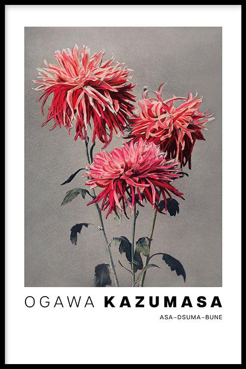 Ogawa Kazumasa - Asa–dsuma–bune - Walljar