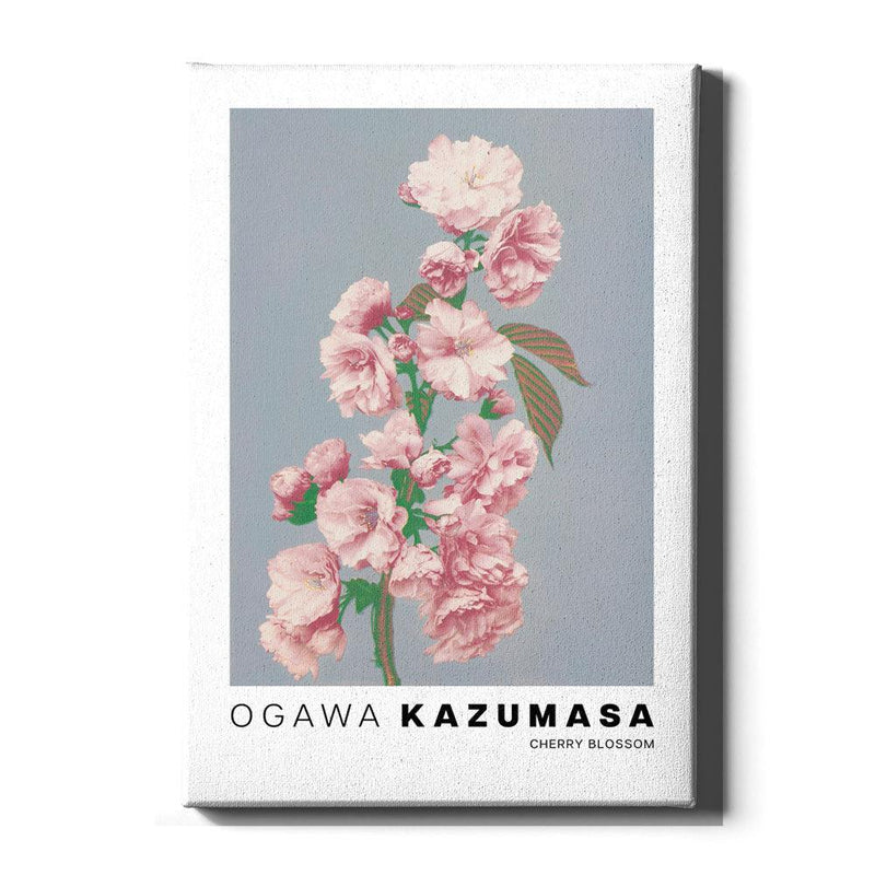 Ogawa Kazumasa - Cherry Blossom - Walljar