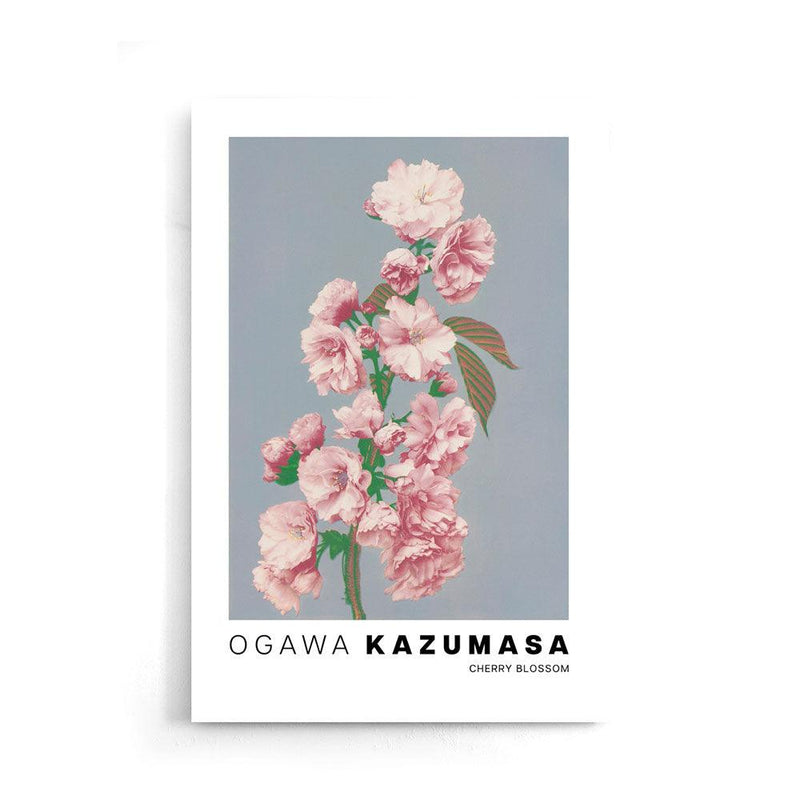 Ogawa Kazumasa - Cherry Blossom - Walljar