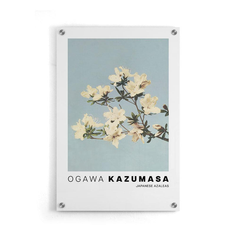 Ogawa Kazumasa - Japanese Azaleas - Walljar