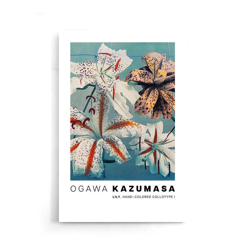 Ogawa Kazumasa - Lily, hand–colored collotype I - Walljar