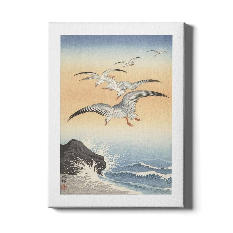 Seagulls op canvas