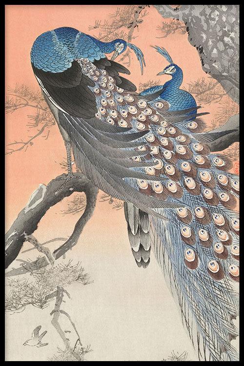 Ohara Koson - Two Peacocks On Tree Branch - Walljar