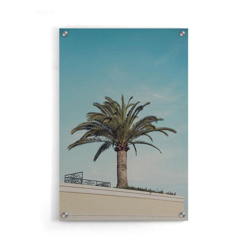Palm Blauwe Lucht - Walljar