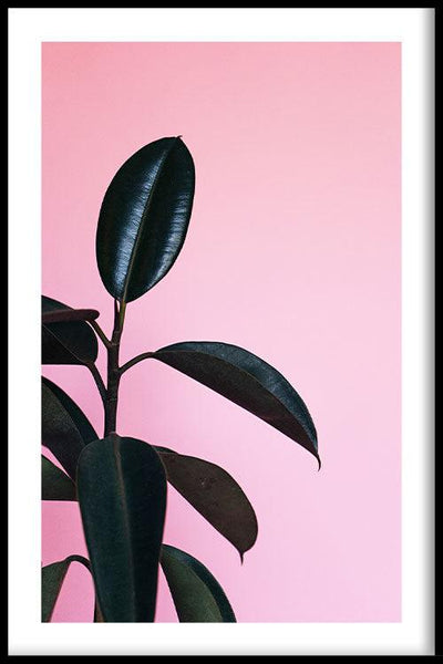 Planten poster