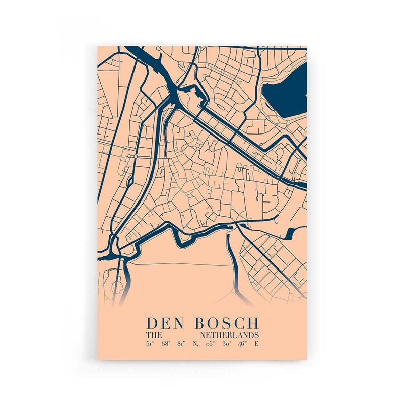 Stadskaart Den Bosch Centrum VI poster