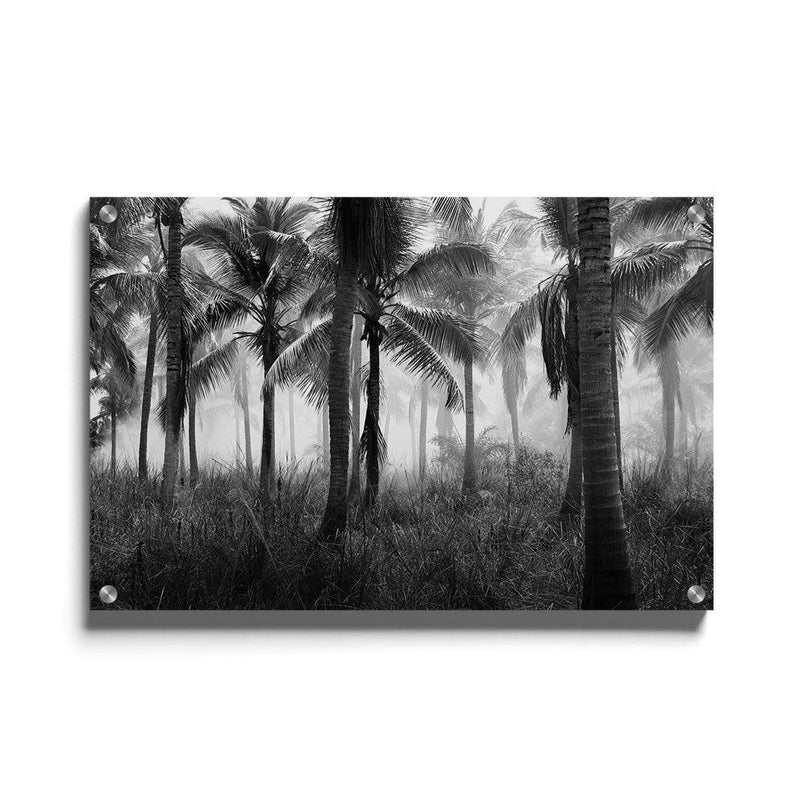 Palmbomen poster